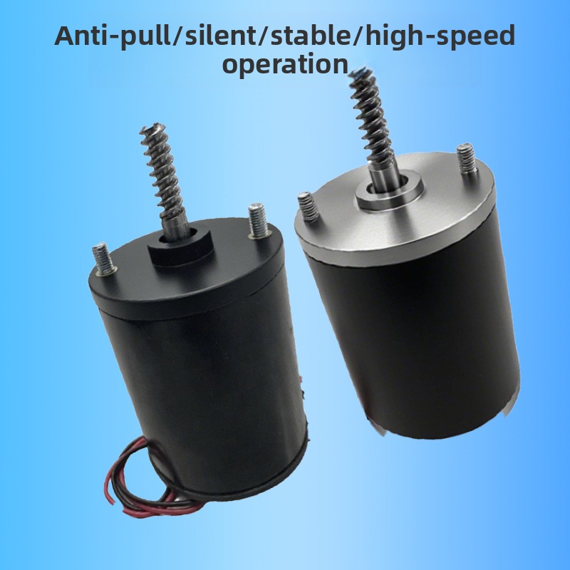 Anti Pull Crane Motor 24V 48V  - Crane Claw Motor recension och pris