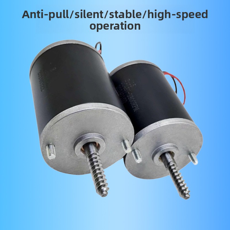 Anti Pull Crane Motor 24V 48V  - Crane Claw Motor recension och pris