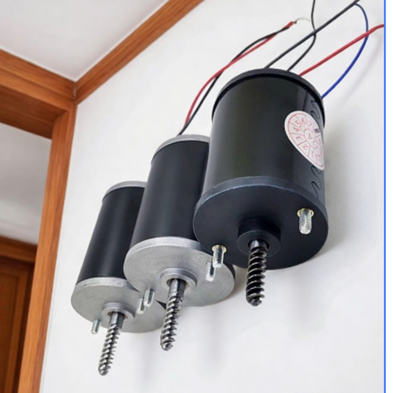 Anti Pull Crane Motor 24V 48V  - Crane Claw Motor recension och pris